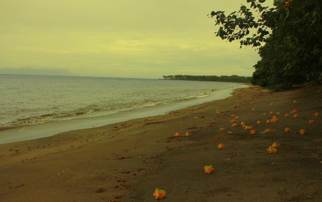 Fx72 Beach Resort Maumere Eksteriør bilde